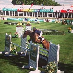 Meet your Posher, Alison